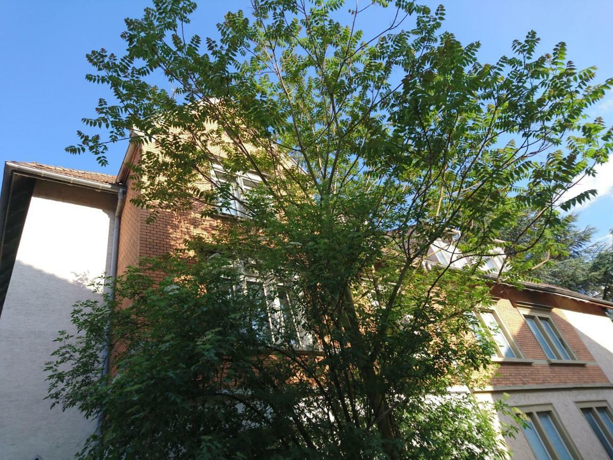Nest City - Not A Hotel, Private Room With Shared Showers, No Parking, Breakfast, Or Kitchen, Towels Available For A Fee, Check-In 4 Pm To 11 Pm Konstanz Kültér fotó